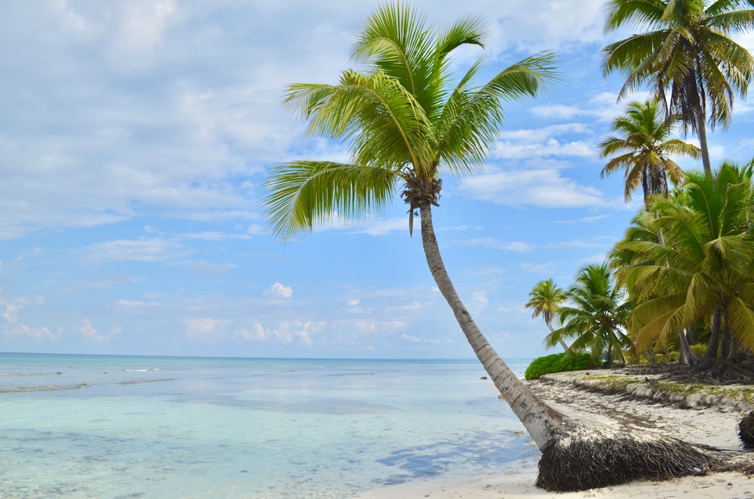 Iles caraibes