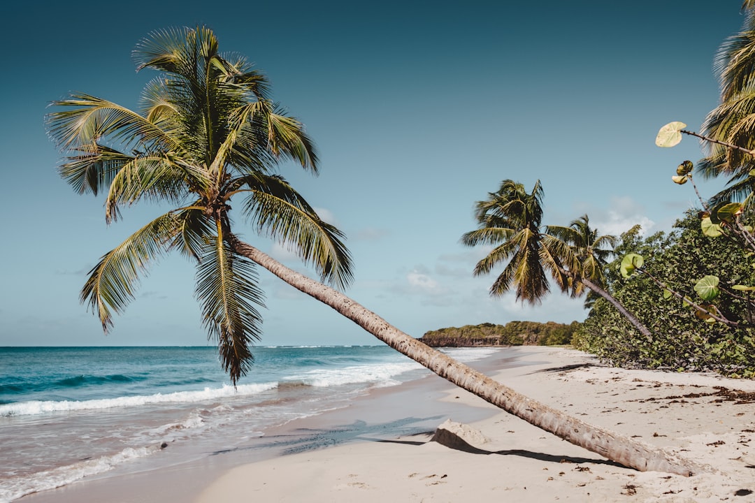 Vol guadeloupe