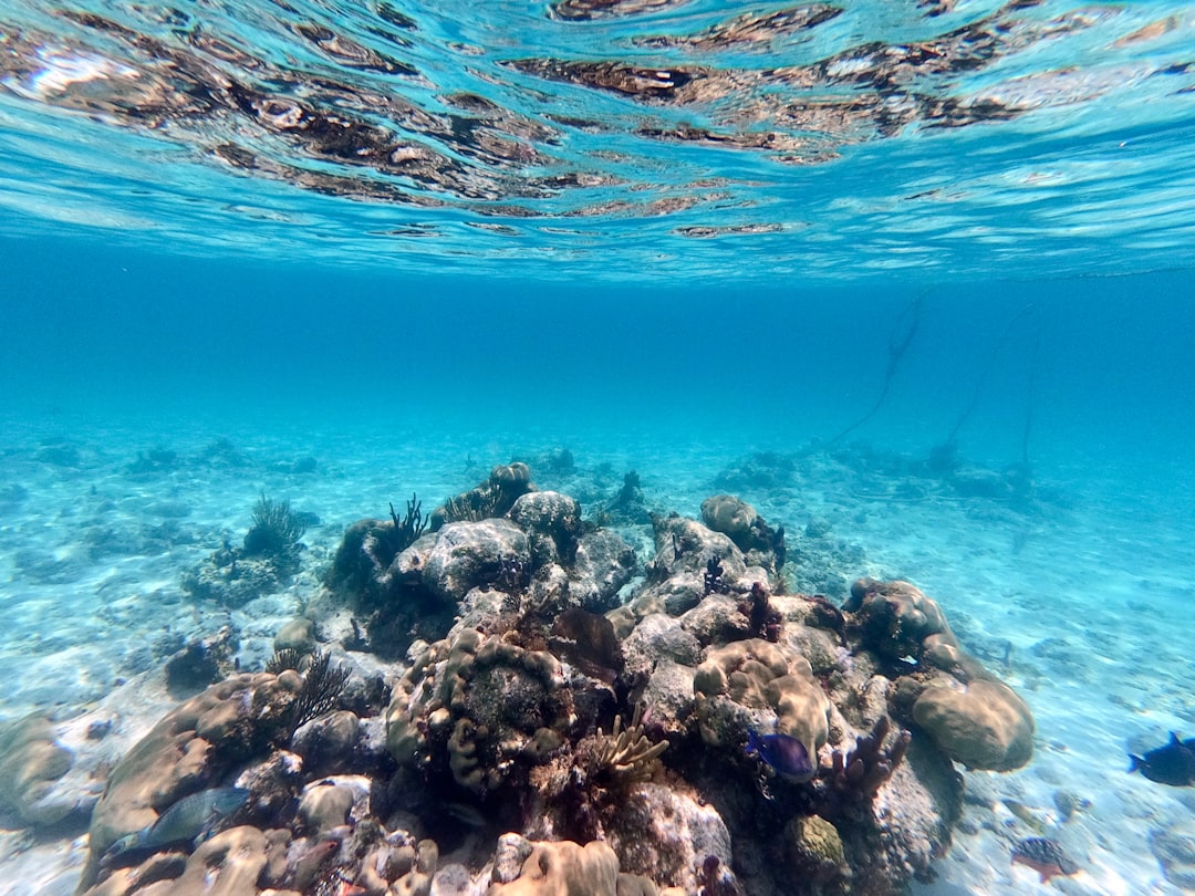 Bonaire