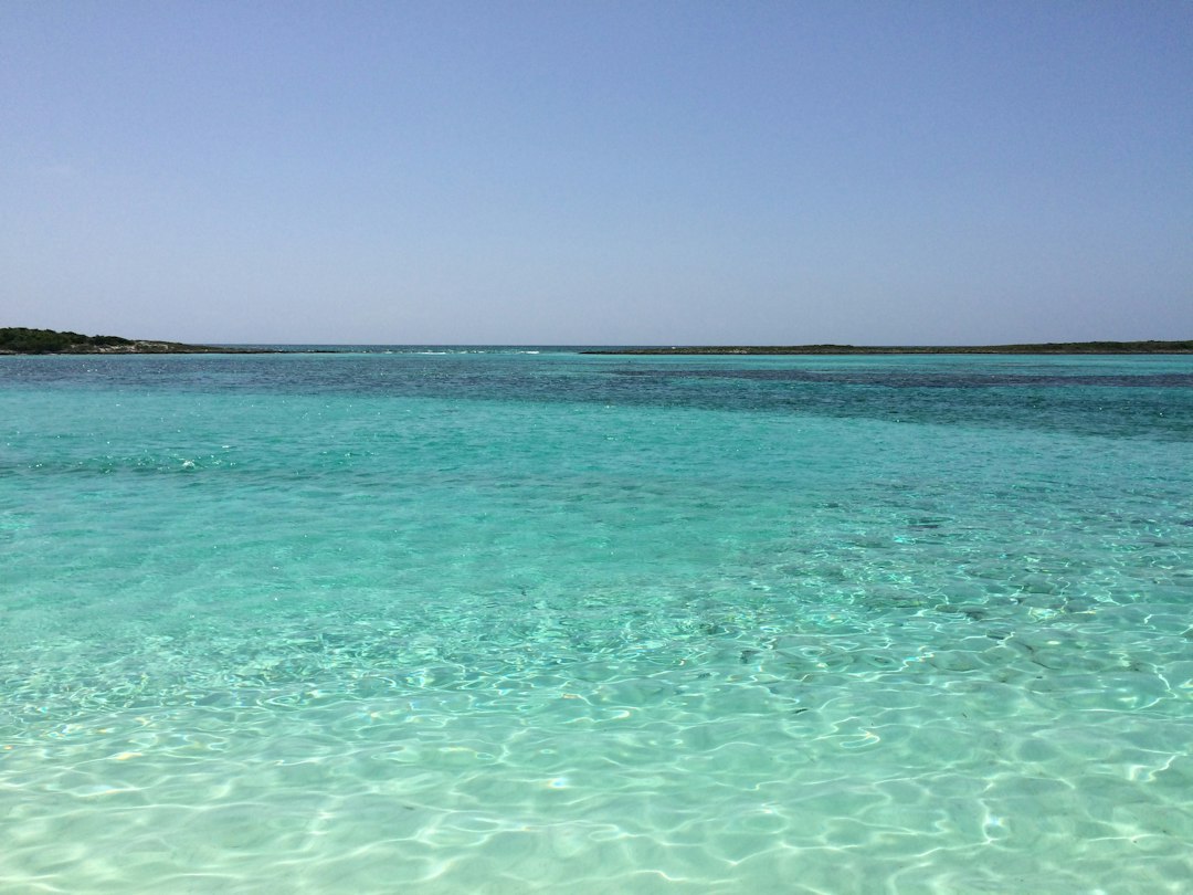 Cochons de exumas bahamas